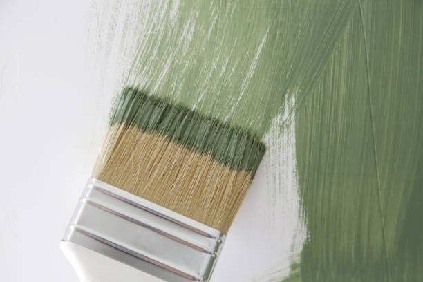Best Emergency Mold Remediation  in Kingman, KS