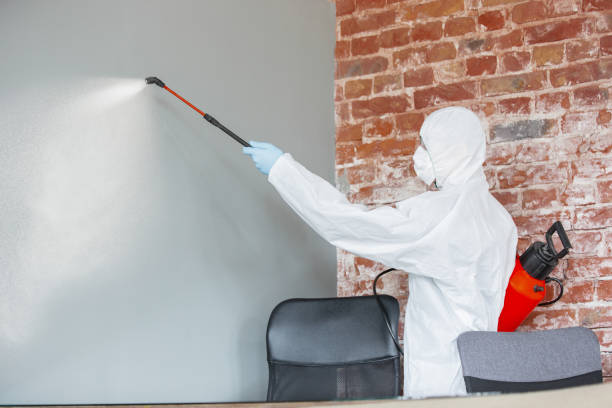 Best Post-Construction Mold Inspection  in Kingman, KS
