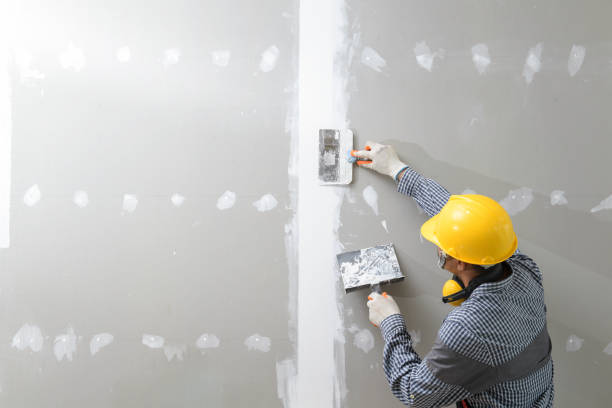  Kingman, KS Mold Removal Pros