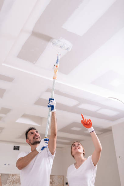 Best Environmental Consulting for Mold Prevention  in Kingman, KS