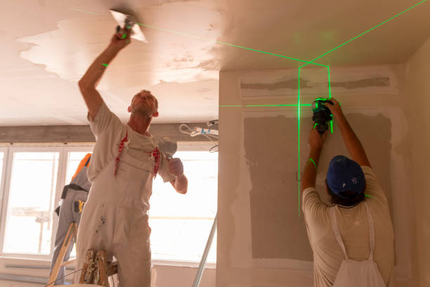 Best Environmental Consulting for Mold Prevention  in Kingman, KS